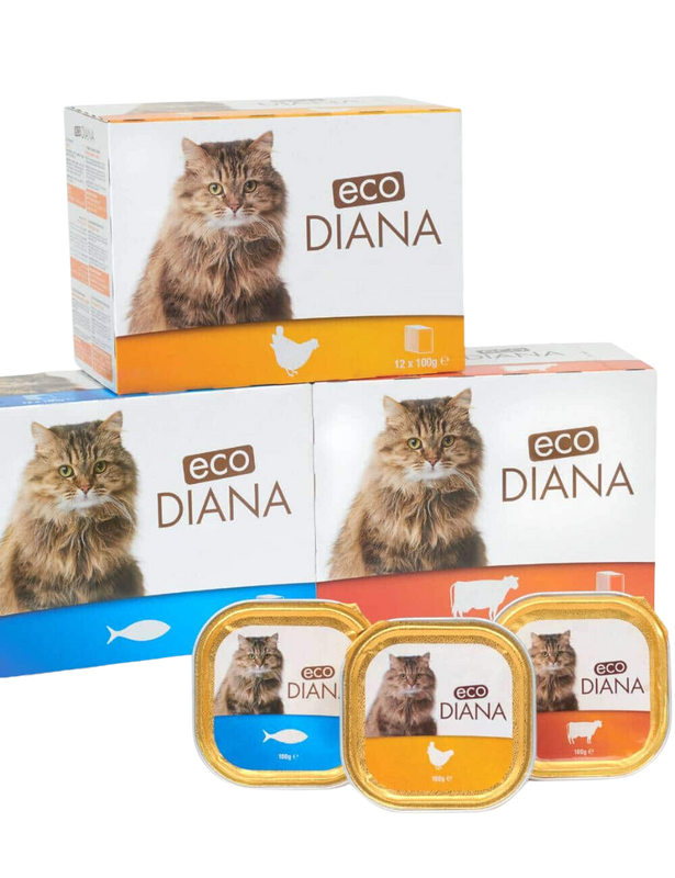 Eco diana pate 100g معلبات قطط